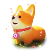 Sakura Corgi