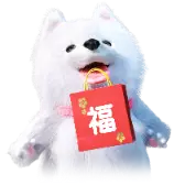 Lucky Samoyed