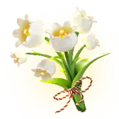 Lily 