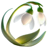 Snowdrop