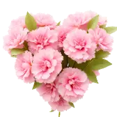 July Love