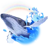 Sam the Whale
